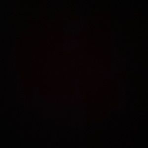 Red and white old school timberlands